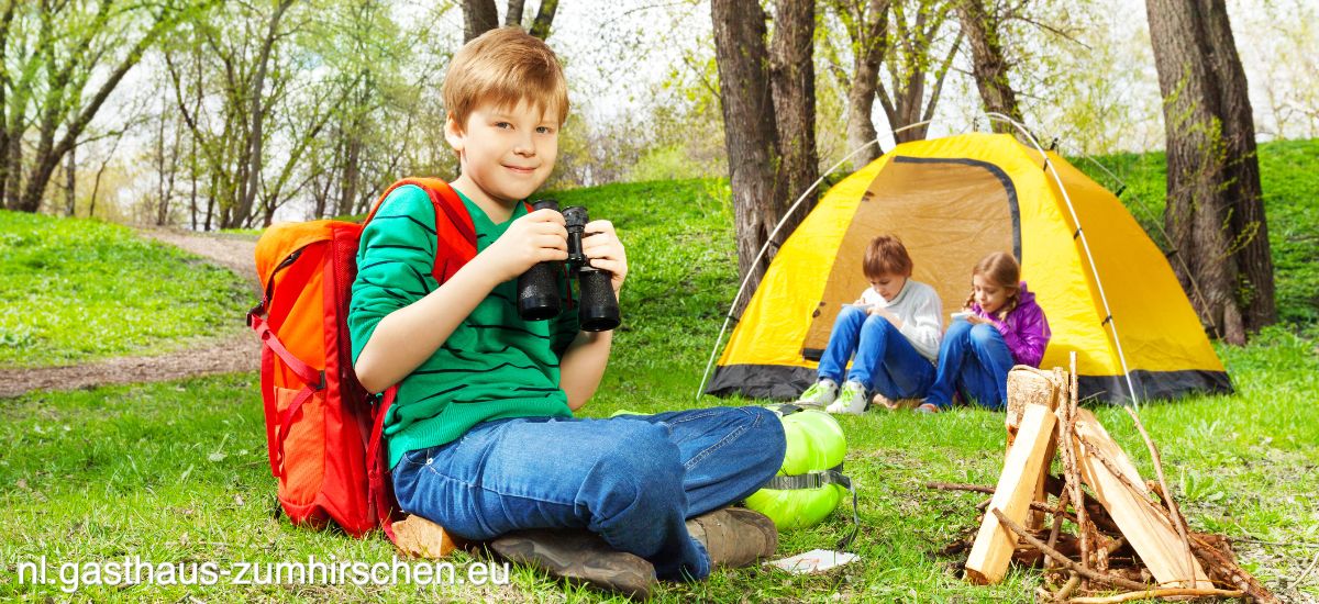 nl.gasthaus-zumhirschen.eu